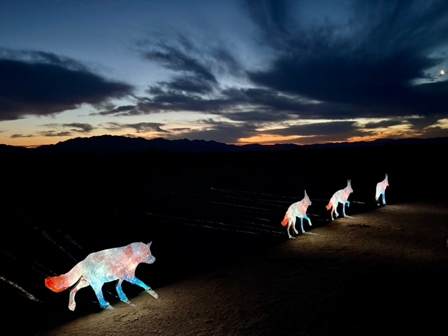 Interlopers Installation