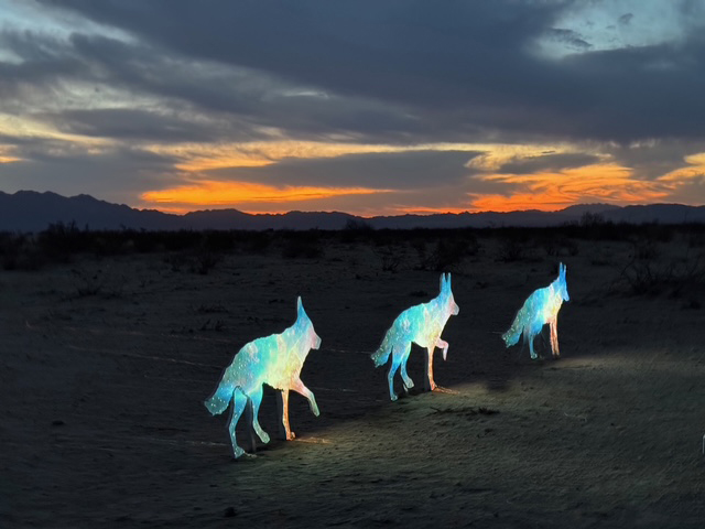 Interlopers Installation