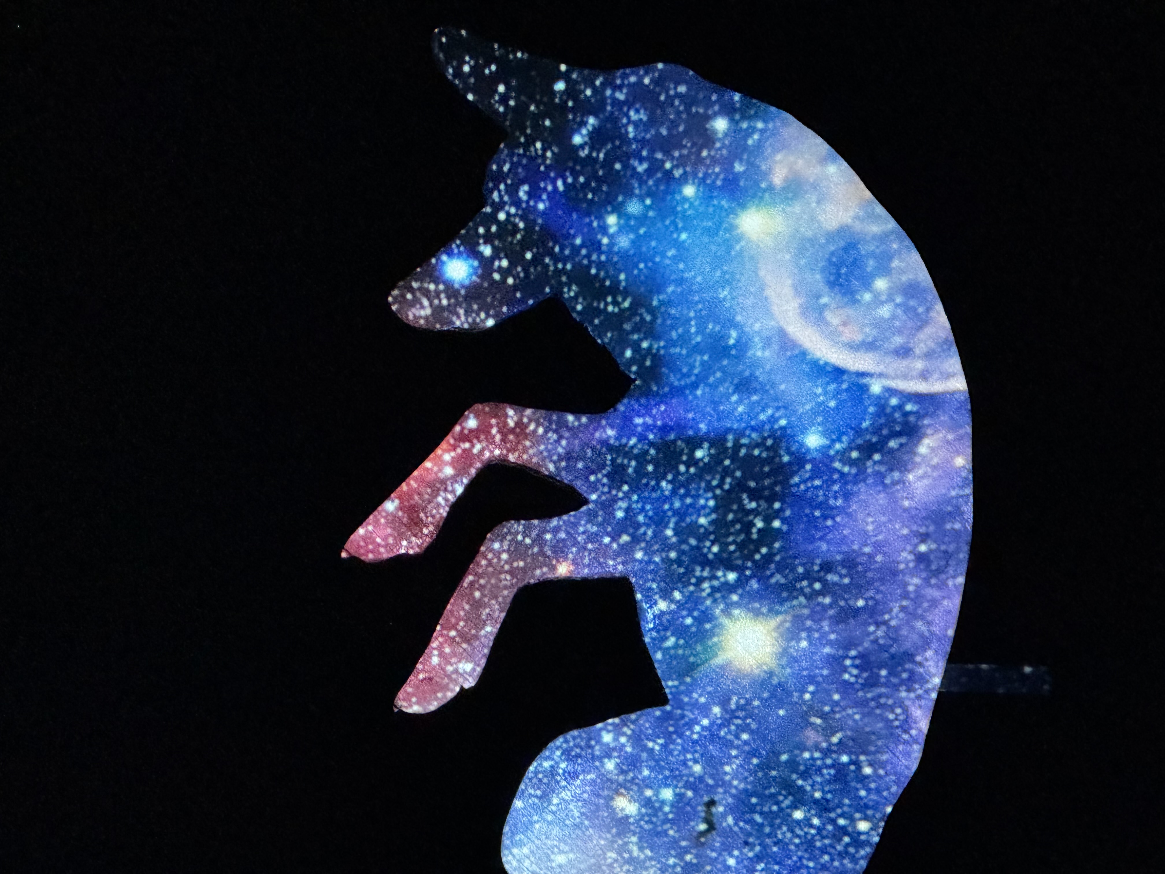 Interlopers Installation