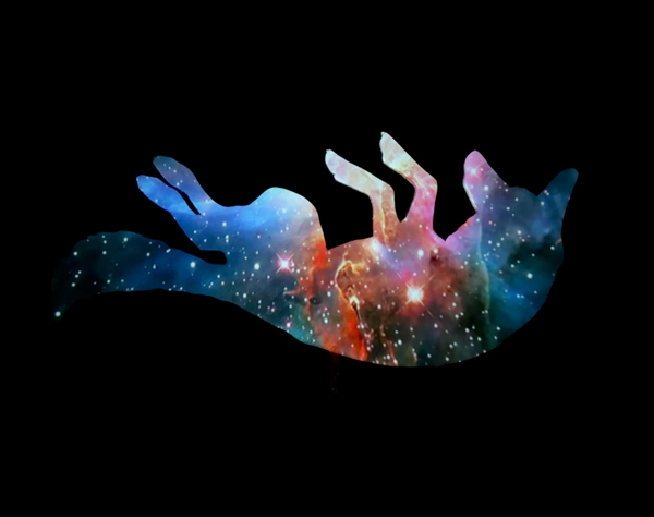 Interlopers Installation