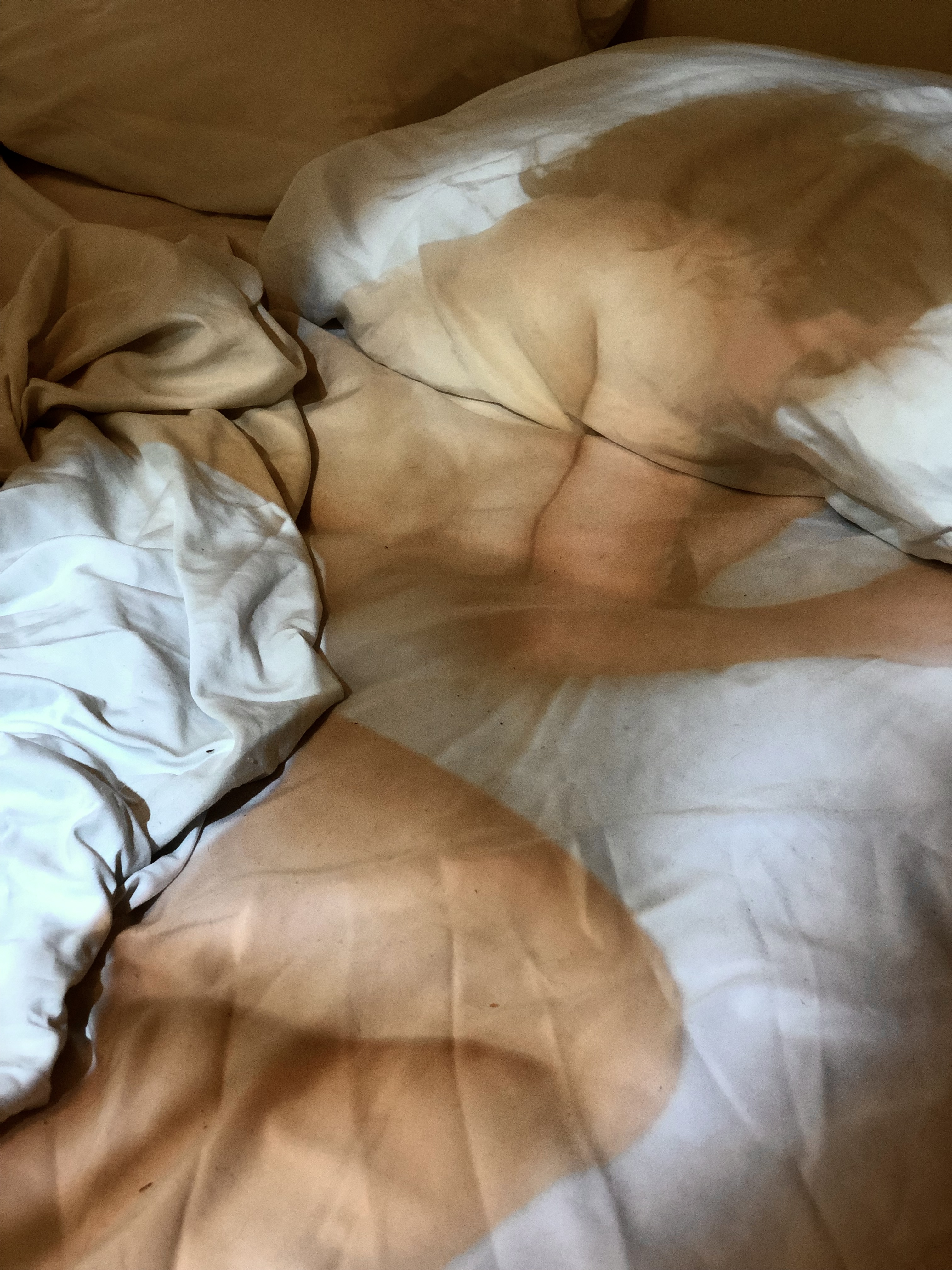 Present Tense Projected Installation